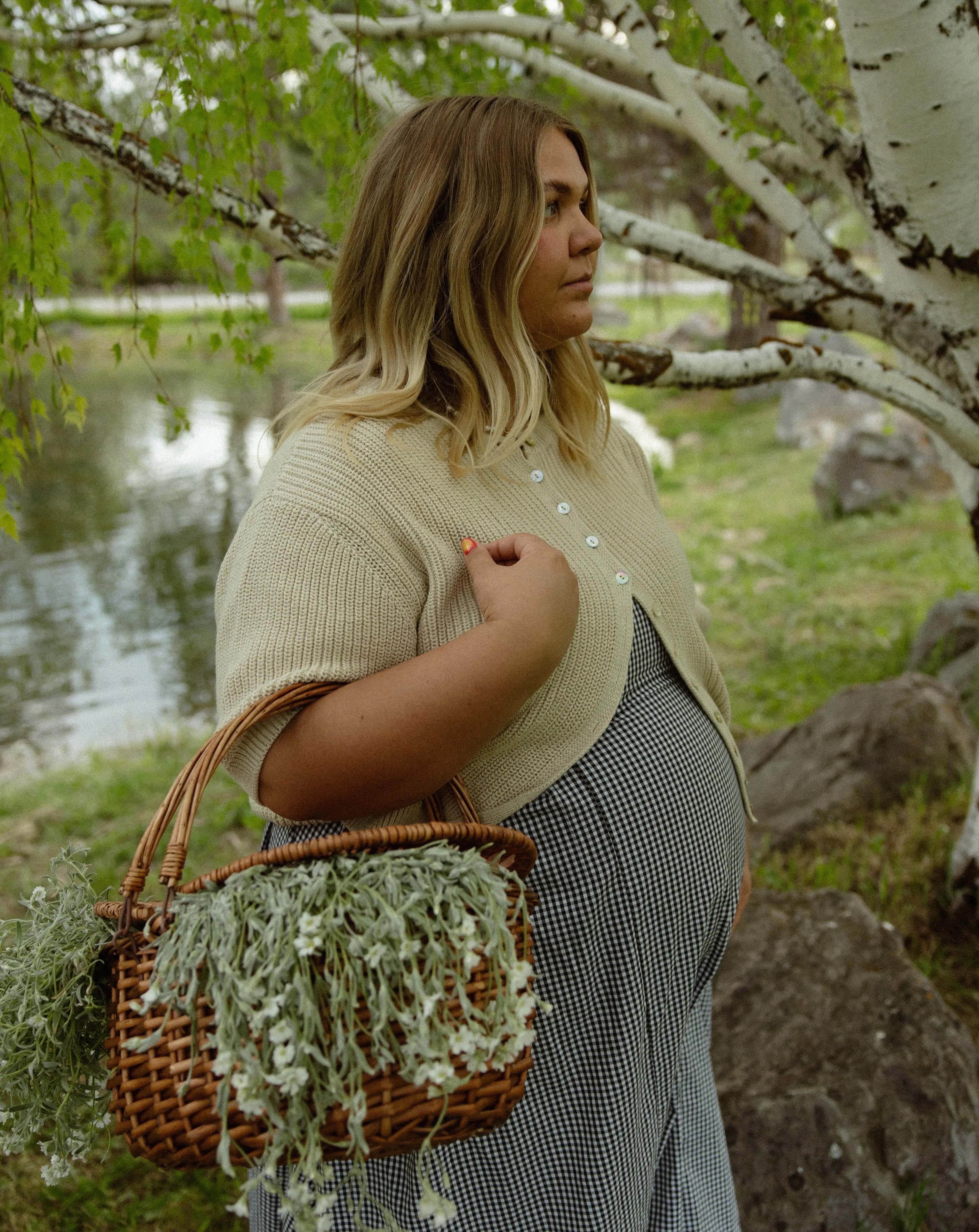 Picnic Dress